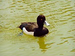 20070323 02.jpg